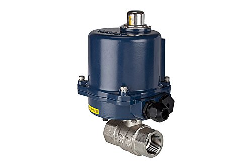 RIEGLER 103700-350.2810R - Válvula de bola de latón de 2 vías, actuador eléctrico, 24 V CC, Rp 1/2, 1 unidad