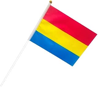 Small Pansexual – flag on a stick perfect for pride parades, lgbtq events, pride month, promotional events