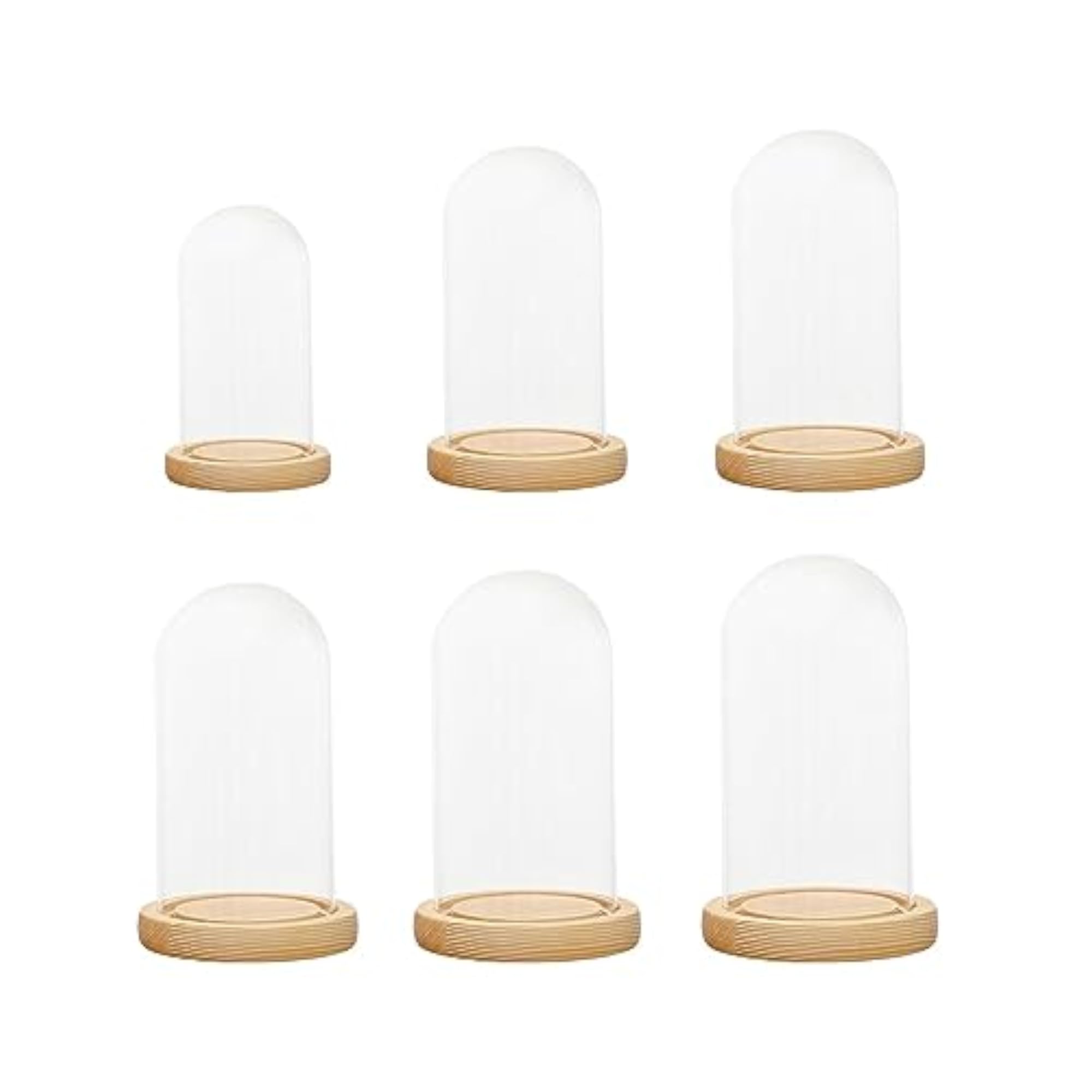 Clear Glass Dome Cover Stand with Wood Base