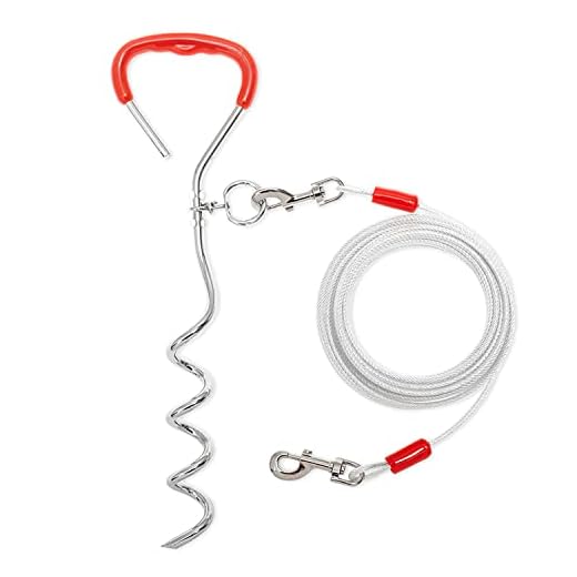 Dog Tie Out Cable and Stake - 30 ft Dog Run Cable & Dog Stake for Yard Camping Park Outside - Heavy Duty Chew Proof Long Dog Leads for Medium Large Dogs