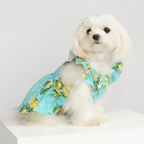 image for Fitwarm Lemon Dog Dress, Dog Clothes for Small Dogs Girl, Pet Cat Appa