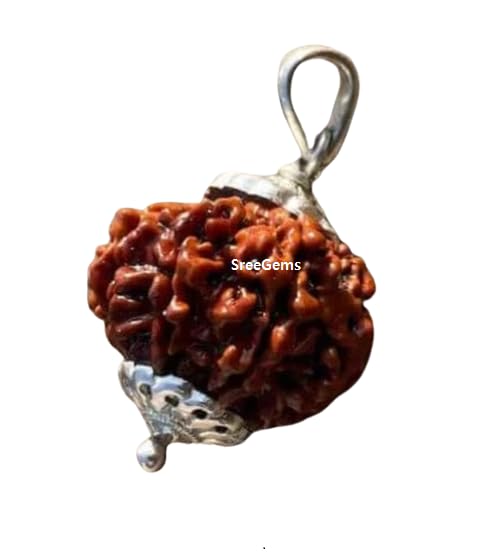 SreeGems 8 Mukhi Rudraksha Original Certified 8 Mukhi Nepali Rudraksha With Silver Capping Eight Mukhi Rudraksha 8 मुखी नेपाली असली रुद्राक्ष Aath Mukhi Rudraksdha Blessed By 8 Mukhi Rudraksha Pendant-picture-24