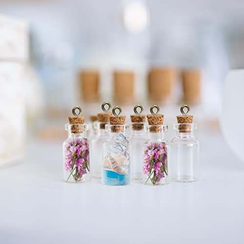 10 PCS Small Glass Bottles With Cork Lids, Mini Stoppers Snuff Kit 1ml Empty Spell Jars Miniature Potion Bottles Small Message Tiny Wishing for DIY Crafts Decoration