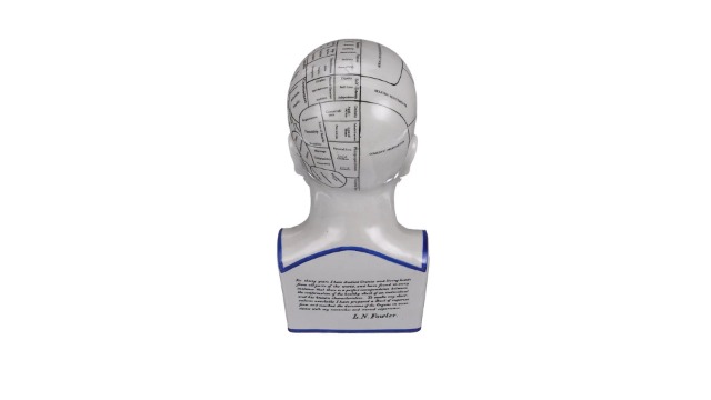 Amazon.com: Design Toscano SP020 Full Size Phrenology Head