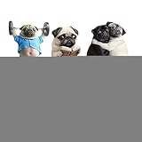 Désodorisant Pour Bouche D'aération Auto,Parfum Décoratif pour Voiture | 6 Pièces En Forme De Chien Diffuseur De Fragrance Véhicule Pour Conducteurs VTC Longs Trajets Camping-Car