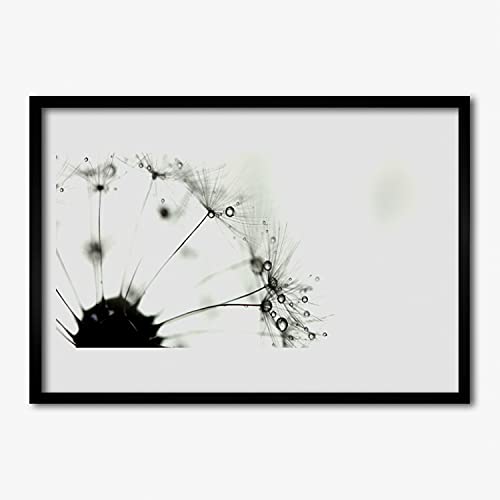 Affiche encadrée pissenlit 100x70 cm avec cadre en MDF noir pour salon