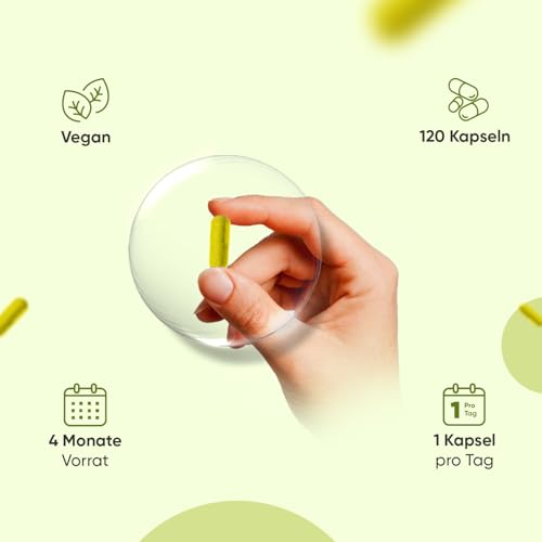 Berberin Kapseln - 4 Monate Vorrat - 120 vegane Berberin 500 mg Kapseln - Berberin 85% (Quelle: Berberis aristata) - 1 Kapsel pro Tag - Frei von Magnesiumstearat - Von WeightWorld