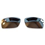 Polarlens