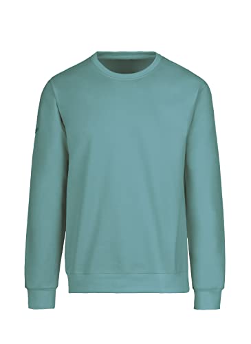 Preisvergleich Produktbild Trigema Herren 674501 Sweatshirt, seegras, M