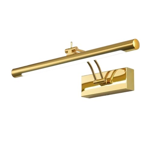 oX[ _ ~[ EH[ Cg 43CM 55CM 9W 12W gC Ǌ|Ɩ C  Q ʏ 䏊 L  Ɩ(Warm,Gold 55cm 12W)