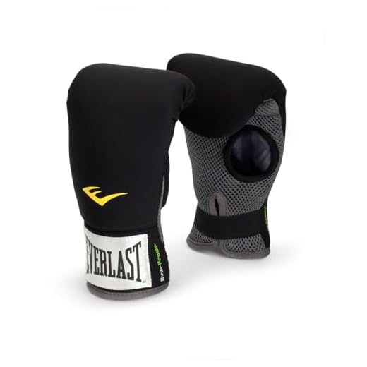 Everlast Heavy Bag Boxing Gloves (PR)