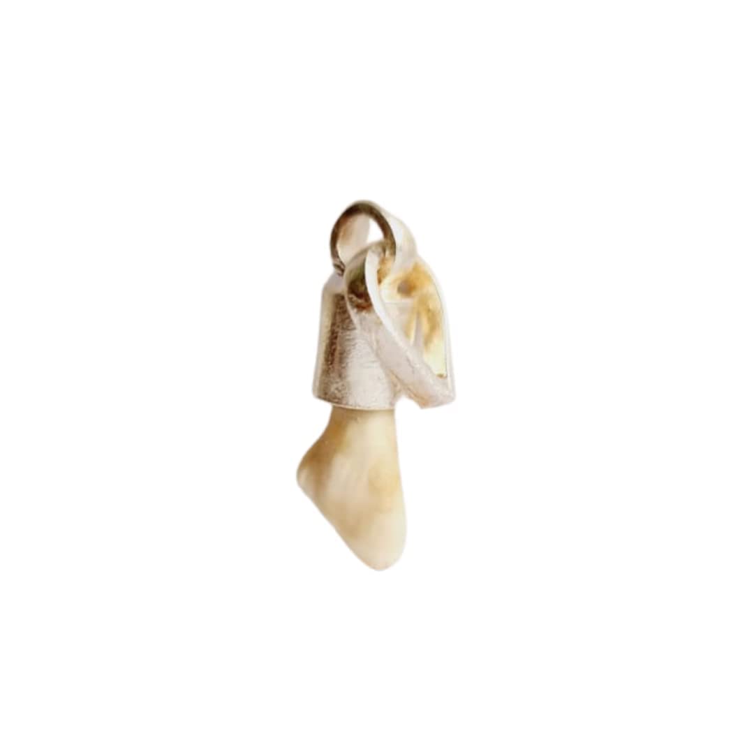 Ram Ratan Kendra Ketu Mani Stone Lab Certified With Pure Silver Locket | To Reduce and Remove Impact of Ketu | White | (Weight Can Differ Due To Natural Occurrence Of Stones) (B09X1HYRRP) Amazon Price History, Amazon Price Tracker
