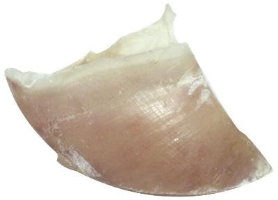 Dogstar 100 St Kalfshoeven Groot