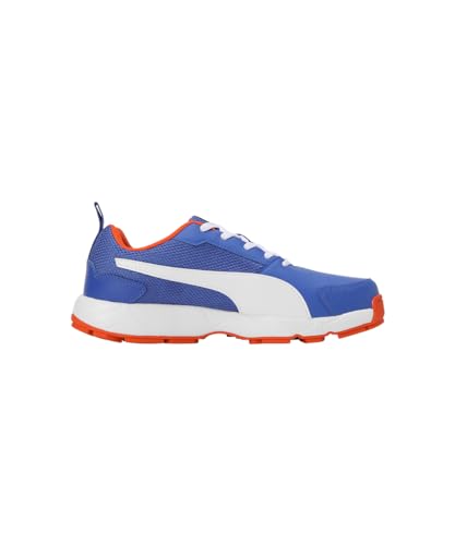 Image of Puma Men Cricket HighRun Cricket Shoe