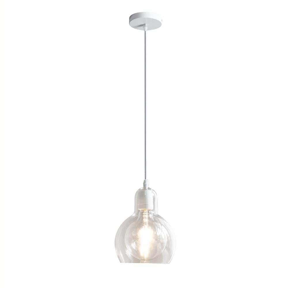ZGDHWCR E26 Light Source Hardwired Hanging Lamp, Nordic Industrial Style Pendant Light, Single Head Adjustable Height Chandelier, Restaurant Bedroom Living Room Decoration Light Fixtures