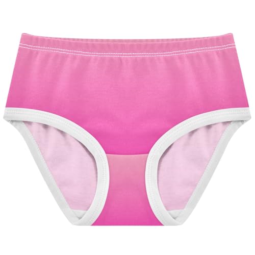 Joisal Pink Magenta Rose Gradient Little Girl Panties Toddler Underwear Floral Cotton Colorful Briefs Kids Undies 2t