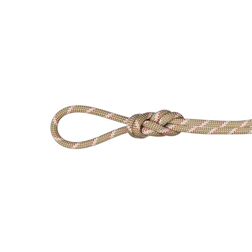 Corde d'escalade Mammut 8.0 pour grandes voies et descentes en rappel