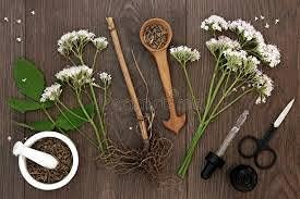 Premium Valerian Root Powder 4oz Valeriana officinalis The Bloomin Herb Shoppe Bulk Tea Tinctures - Image 3