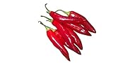 Samenchilishop