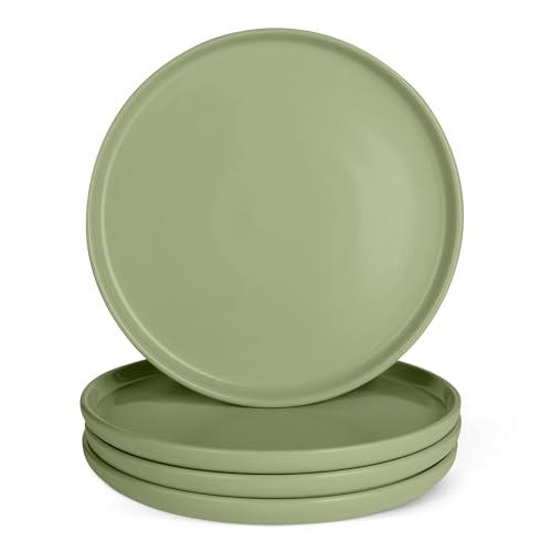 Amazon Basics Glazed Stoneware Dinner Plates, Ceramic 4-Piece Set, Microwave and Dishwasher-Safe, 10.5 in., Olive