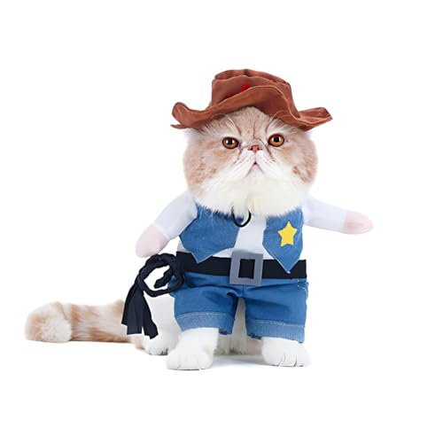 DELIFUR Costumes Noël pour Chien ou Chat Cowboy avec Chapeau
