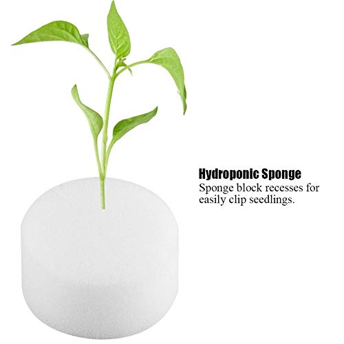 Jeffergrill 50pcs Soilless Idroponica Cylindric Spugna Piantando Strumento di giardinaggio Spugne per la serra