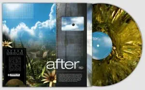 EP1 + EP2 Numbered Lichen record, After by After — album cover