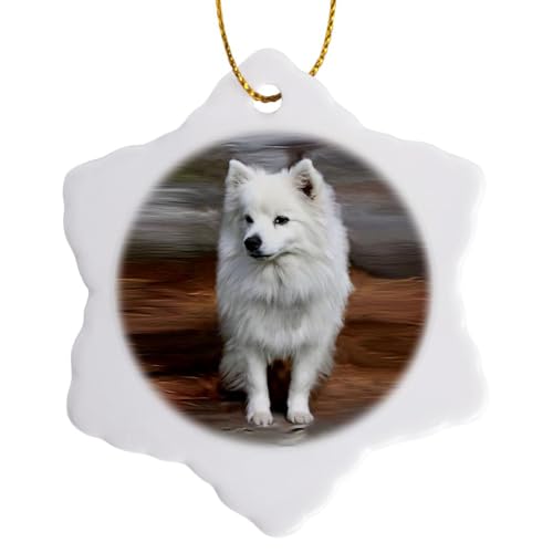 3drose American Eskimo Toy Dog Snowflake Porcelain Ornament, 3-Inch