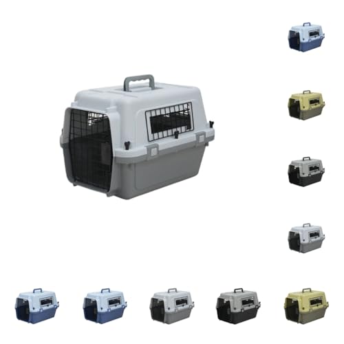 sandqvipaybgL[ ^  p  V s@Ή ^ t qA{bNX ^ ^ L L[P[X n[hN[g (CgO[ASTCYAGA`Ci)