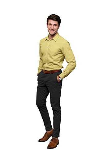 Image of PROLIFE Formal /OFFICEWEAR Shirts for Men