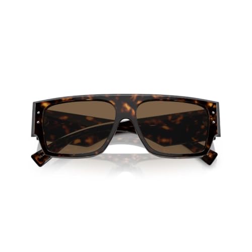 Dolce & Gabbana Sunglasses DG 4459 502/73 Havana Dark Brown4