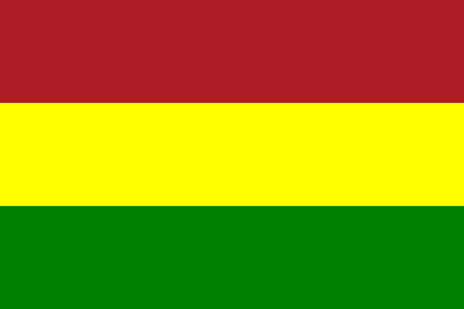 Drapeau Steenbergen vlag officieus résistant pour mât de jardin