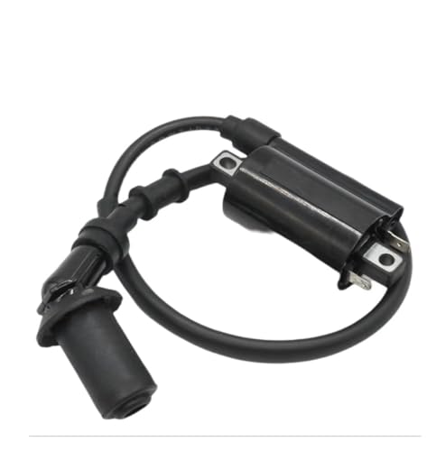 Bobinas de encendido para motos custom Virago XV250 XVS125 y QJ250-H