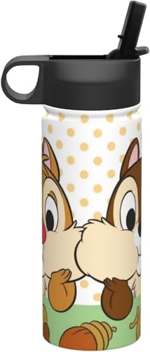 チップとデール 水筒 真空断熱 保温 保冷 スポーツボトル 人気 ステンレスボトル スポーツ飲料対応 漏れない 直飲み530ml 男の子 女の子 おしゃれ プレゼント