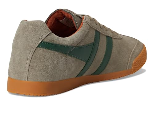 Image of Gola Harrier