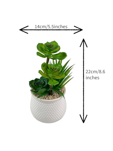 Image of Artificial Succulent Plant in White Ceramic Pot, Realistic Faux Greenery for Home Office Desk Tabletop Decor, Low Maintenance Long-Lasting Indoor Decorative Plant (A)