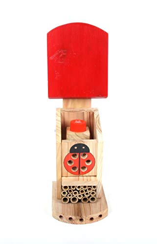 Wildlife World LBT4 Live Ladybird Lodge, Red/Brown