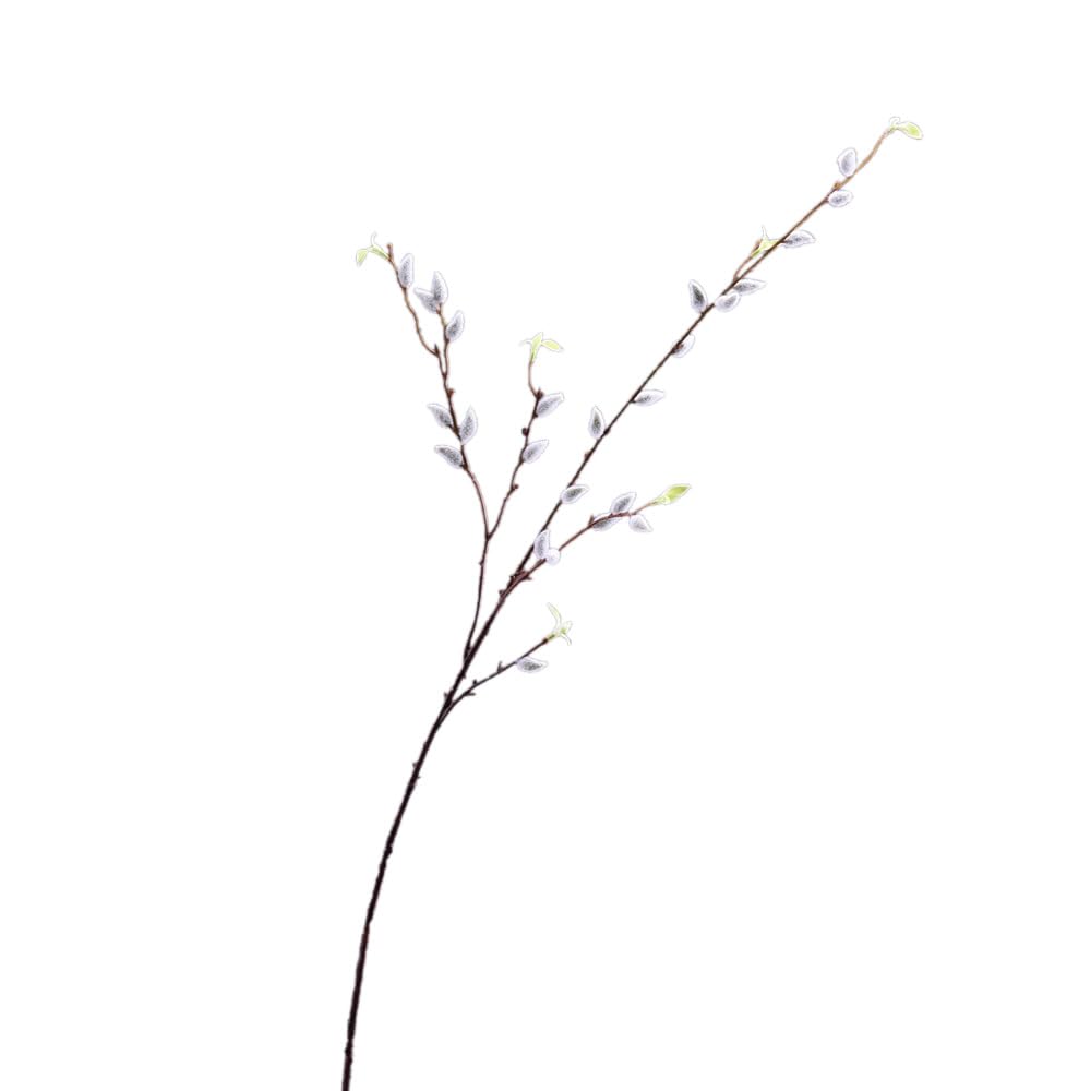 Fiskenet Artificial Pussy Willow Branches for vases pussywillow Long stem Artificial Flowers (1pc 41