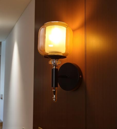 Image of ELAINTE Premium Wall Light | | Elegant Glass Wall Lamp for Living Room & Hallway | 3 Years Warranty | Free Bulb (Velora-Single)