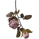 Allthingstore