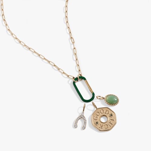 Alex and Ani Good Luck Interchangeable Charm Necklace2