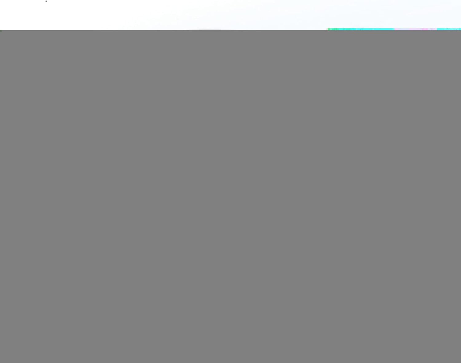 WORLD GIFTS Elegant Stylish Porcelain Mugs Durable Drinks Serving Ware for Indoor Outdoor Use - Mugs, Pink Floral, Set of 4, 12 oz.