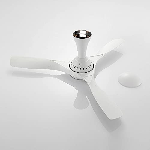 Ventilatore da soffitto con lampada 'Borga' a