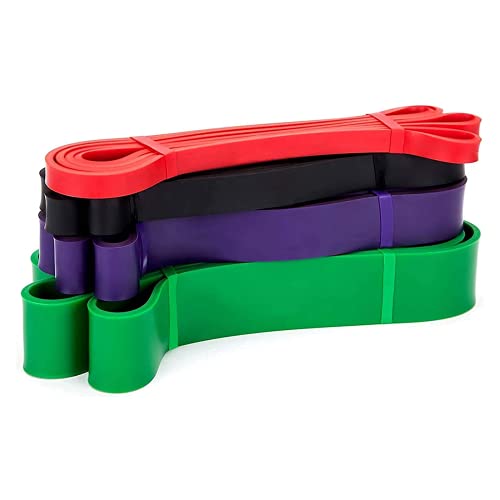 Pull Up Resistance Bands Set of 4 Pull Up Bands for Body Stretching, Mobility Workouts, Gyms, Warm-Up, Recovery, Home Fitness, Powerlifting, and Exercise, with Carrying Bag and Workout Guide