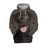ZEMALON Men Sweatshirt Men Youth Personality Trend Long Sleeve Hoodie Men 3D Digital Printing Long Sleeve Sweatshirt Men Casual Fashion Sport Hooded D-02 XL
