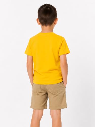 Image of LittleSpring Boys Girls T Shirt Rainbow Striped Cotton Crewneck Tees for Kids Fashion