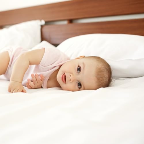 Image of 100% Silk Pillowcase for Hair and Skin Toddler Size 2 Pack Mulberry Silk Pillow Case 13 x 18 Inches Highest 6A Silk Kids /Travel Pillow Cover Soft Breathable Cooling with Hidden Zipper, Grey Blue