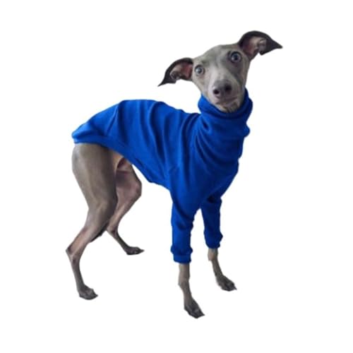 n^[glbNC^AO[nEh nClbNut2EBybgWvX[c KȃybgpW[Ap(Blue,X-Large)