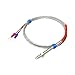 K Type Screw Temperature Probe, M6 Thermocouple Sensor, High Temp Stainless Steel, Industrial Wire(Pt100-2M)