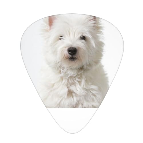 6���p�b�N �M�^�[�s�b�N �G���N�g���b�N&�x�[�X�p - �l�X�Ȍ��� (0.46mm/0.71mm/0.96mm) �����^�щ\ ���S�Ҍ��� (�E�F�X�e�B�� - �E�G�X�g�n�C�����h�e���A�̎q�� ���킢��)